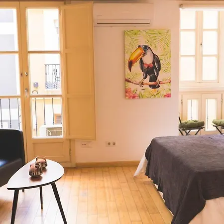 Apartment Centrico Estudio - Centro
